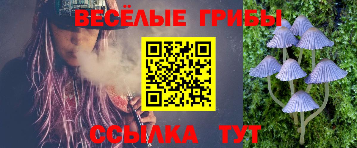 Медногорск  даркнет сайт  Вход с VPN  Псилоцибиновые грибы прущие грибы 
