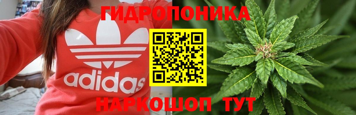 Конопля MAZAR Медногорск